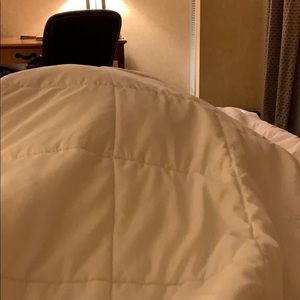 Meet your Posher, Rose